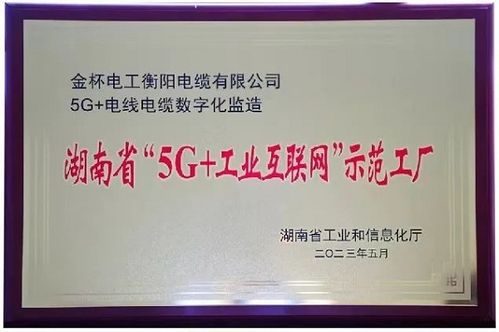 七年磨一劍 金杯電纜獲評湖南省 5g 工業互聯網 示范工廠